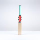 Ventus 1.0 300 Cricket Bat - Adult SH