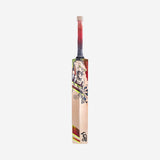 BEAST 3.1 JUNIOR CRICKET BAT