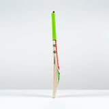 Ventus 1.3 150 Cricket Bat - Adult SH