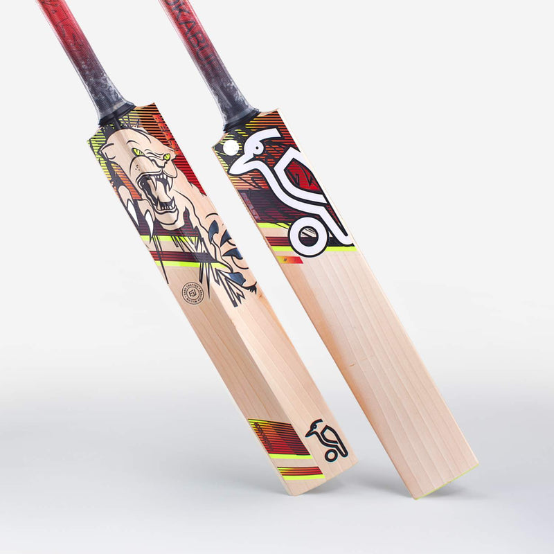 BEAST 3.1 JUNIOR CRICKET BAT