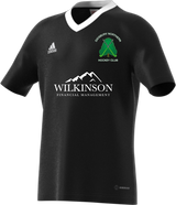 DNHC Ladies Away Playing Shirt