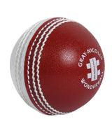Gray-Nicolls Wonderball