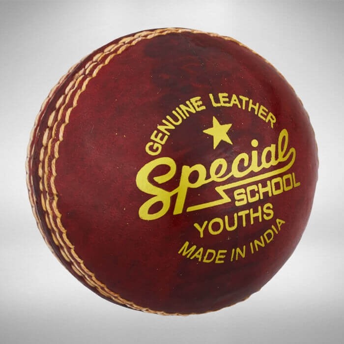Readers Special School Cricket Ball