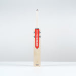 Classic Academy Cricket Bat - Adult SH