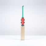 Ventus 1.0 300 Cricket Bat - Adult SH