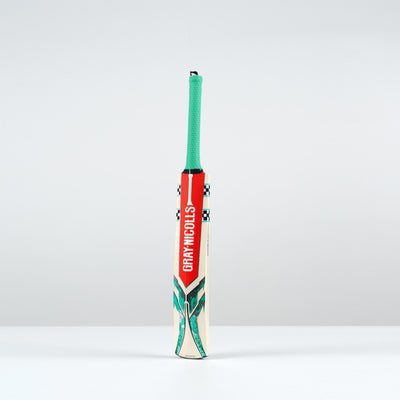 2025 Ventus 1.0 Warrior Cricket Bat