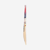 2023  BEAST 5.1 JUNIOR CRICKET BAT