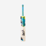 RAPID 10.1 CRICKET BAT